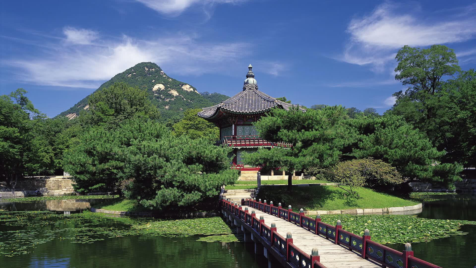 世界篮球友谊赛：技战术交流带来联赛新灵感，世界篮球联合会